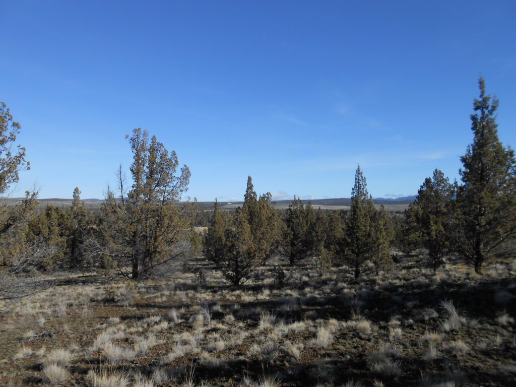 Spiritual Turning Points Video