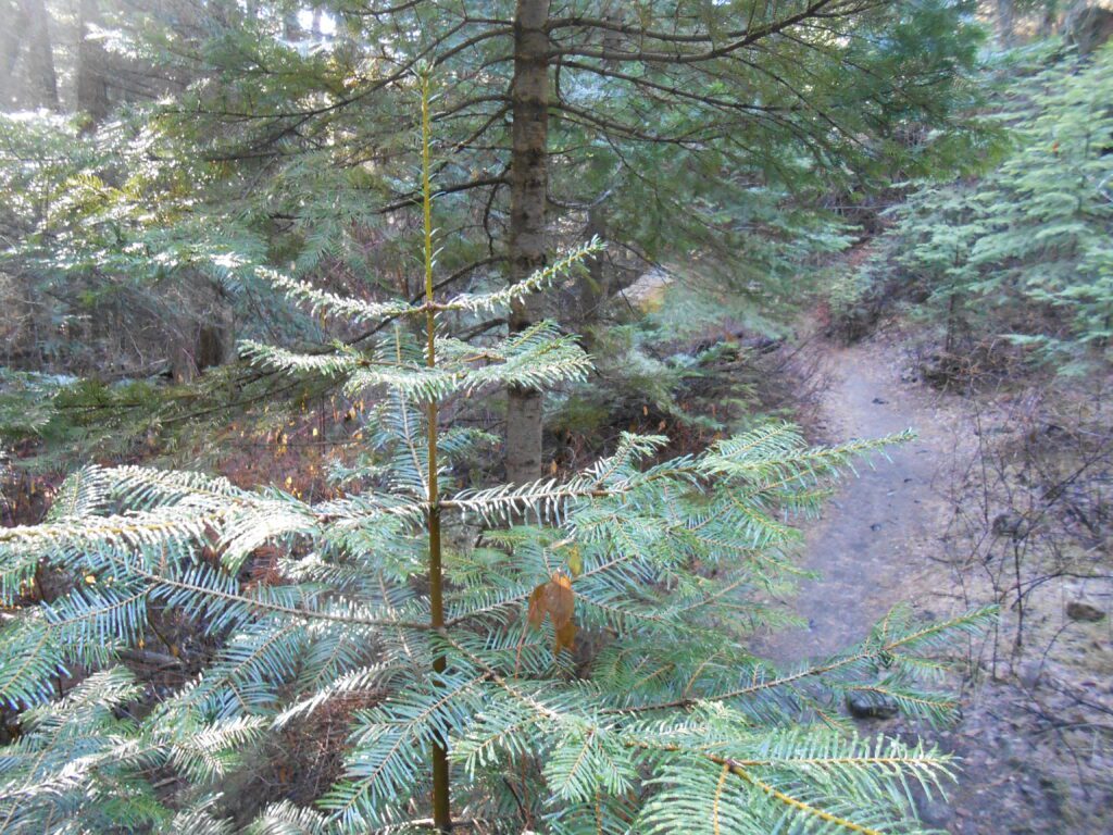 3 Refreshed Spiritual Awakening Blog Posts