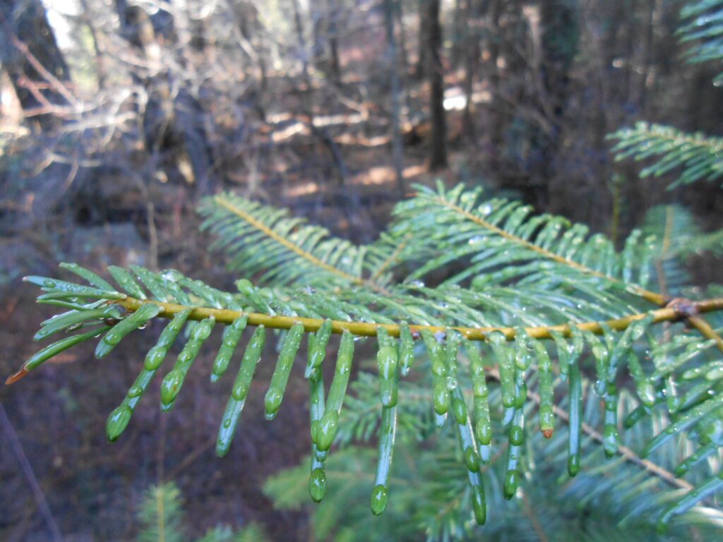 Are You Adding or Subtracting Ego?