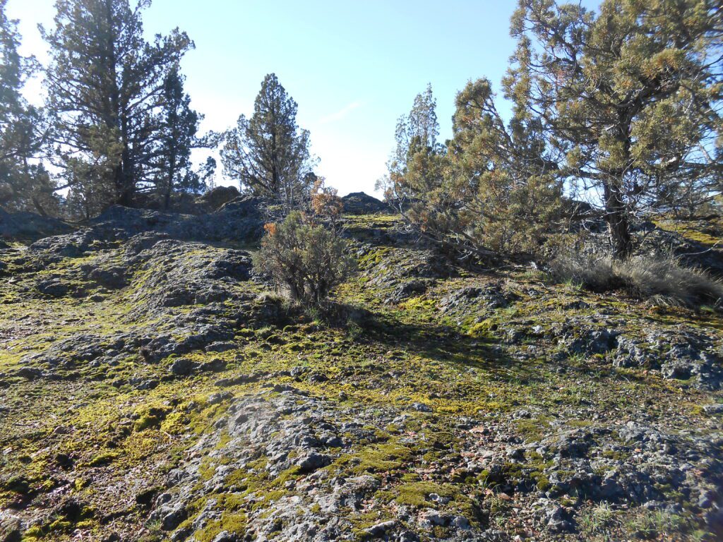 How to Handle an Unconscious Society