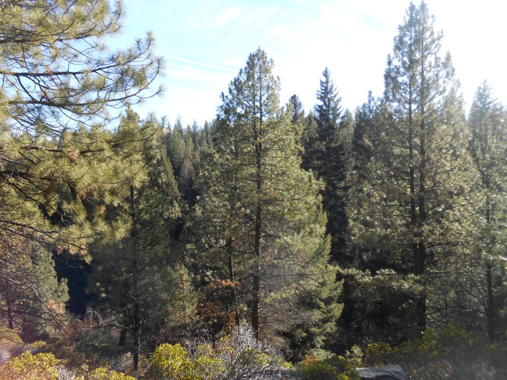 5 Misunderstandings About Spiritual Awakening