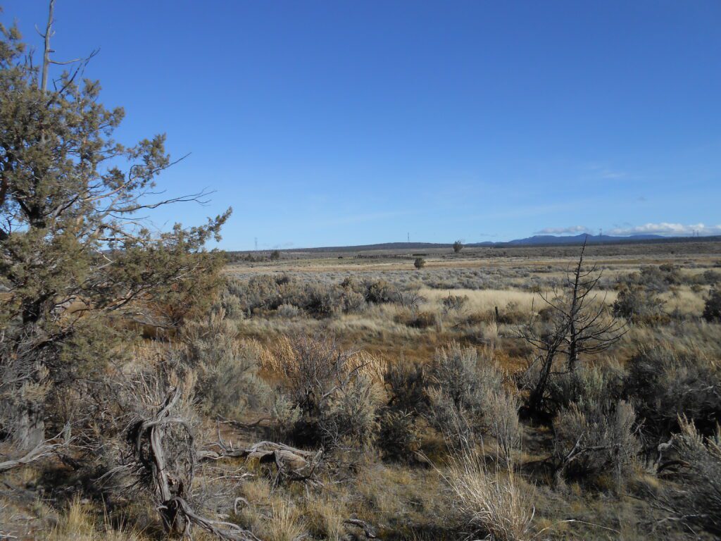 What is a Spiritual Opening?