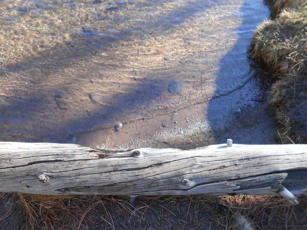 The Gift of a Long-term Relationship with a Spiritual Teacher