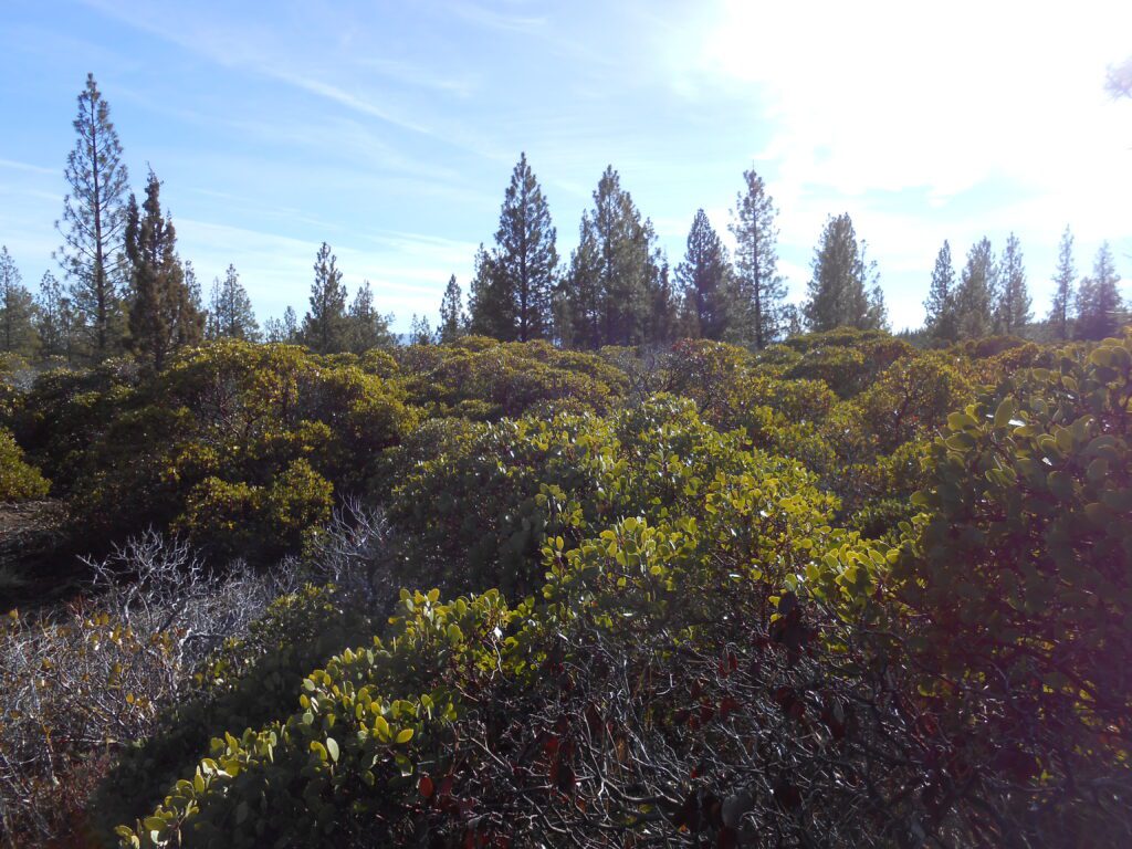 Awakening Is Only the Beginning