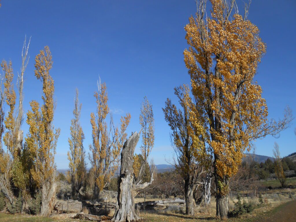 Discovering Reality and Real Empowerment–Mike C.’s Testimonial