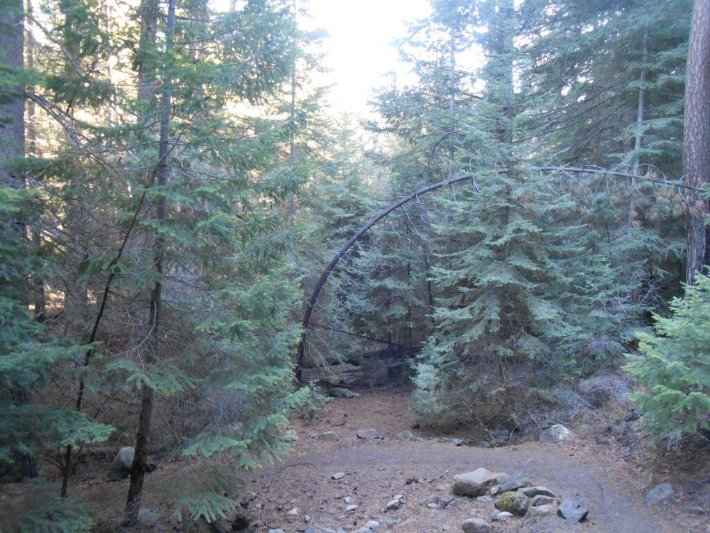 Healing from Illusions and Attachments