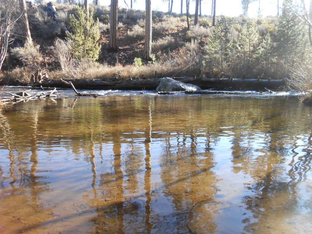 Sex, Touch, and the Spiritual Path Class creek, river, water,