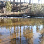 creek, river, water,