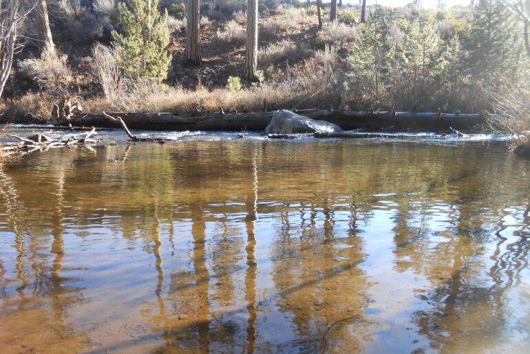 creek, river, water,