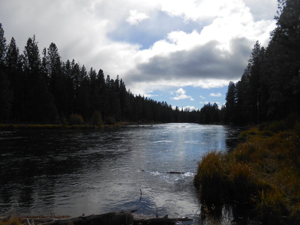 Patti T.’s Student Testimonial