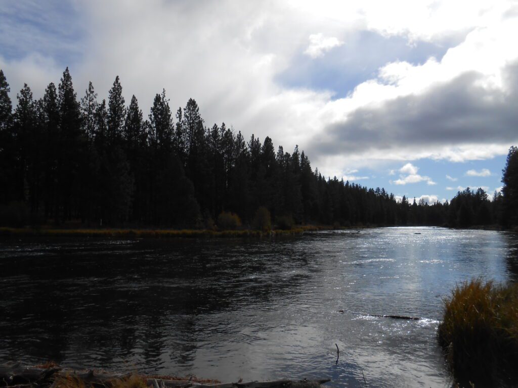 New Dark Night and Losing Desires Videos