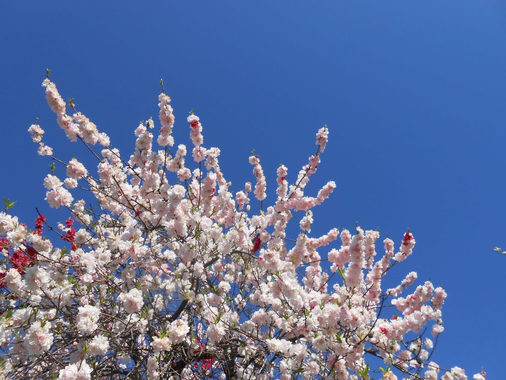 A Testimonial of More Than a Decade of Work