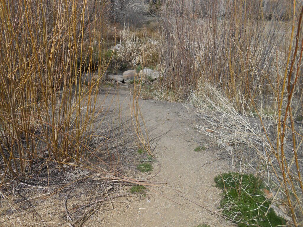 Enduring the Ego Grind