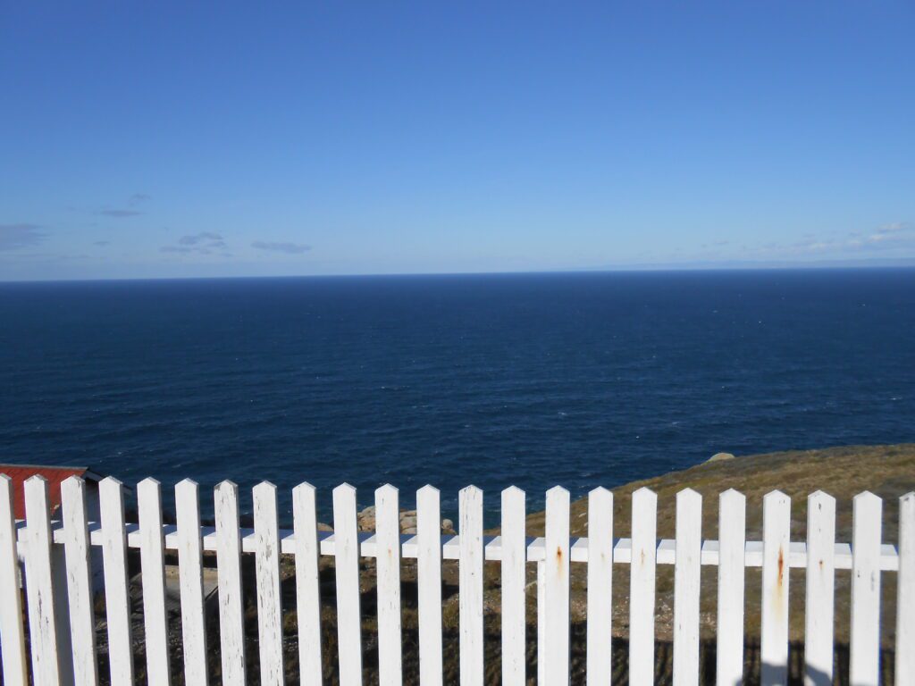 Expressing Love in a Cynical Society