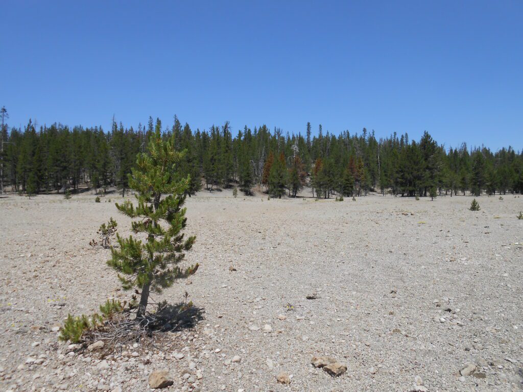 How to Let Go of Suffering