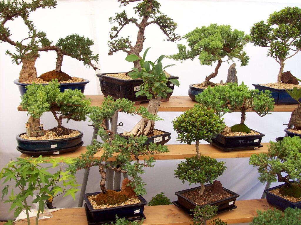 The Multiple Layers of Healing