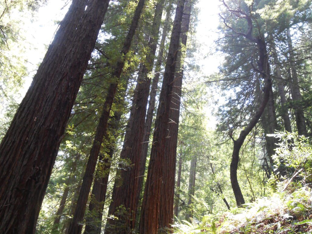 How Can I Connect to my Higher Self