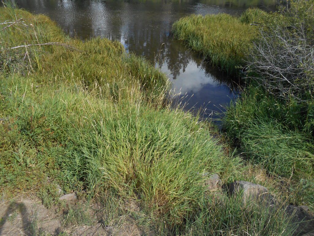 Dealing with New Spiritual Experiences