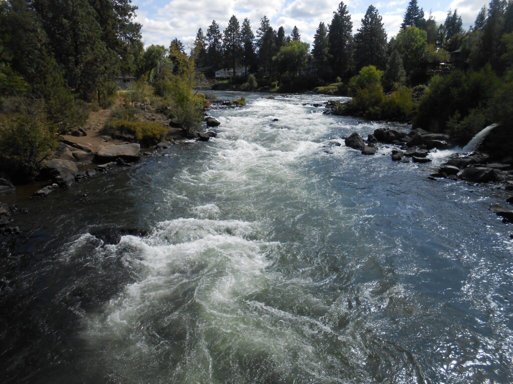 How to Relate to Your Spiritual Teacher