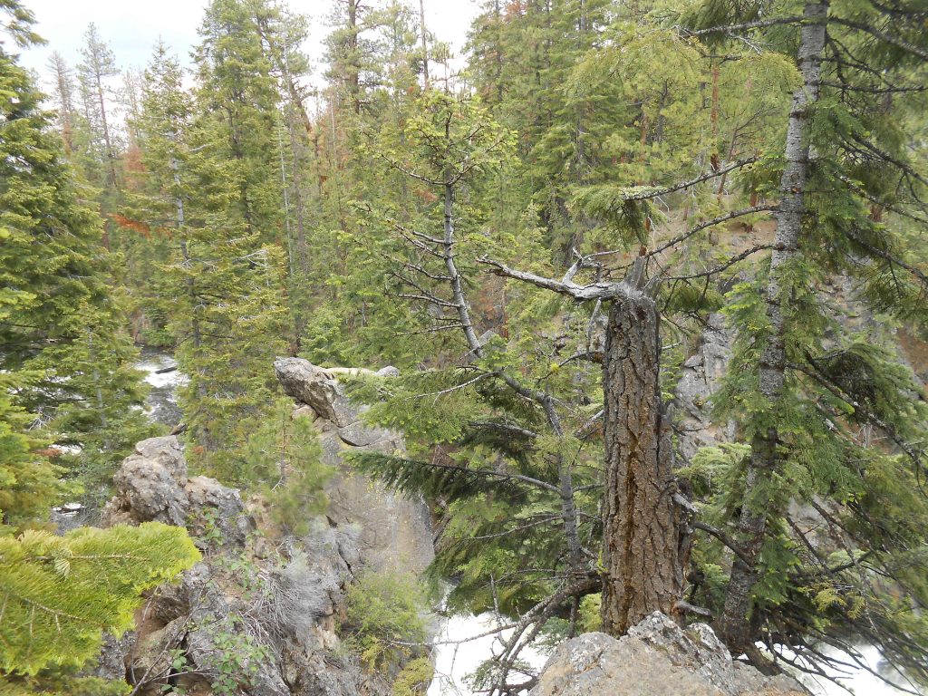 Soulmates and Other Myths that Bind Our Love