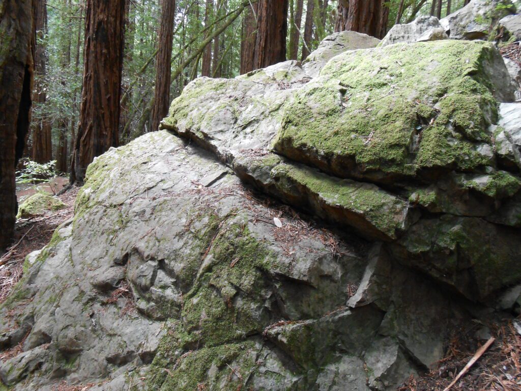 The Burden of Wisdom rock, forest