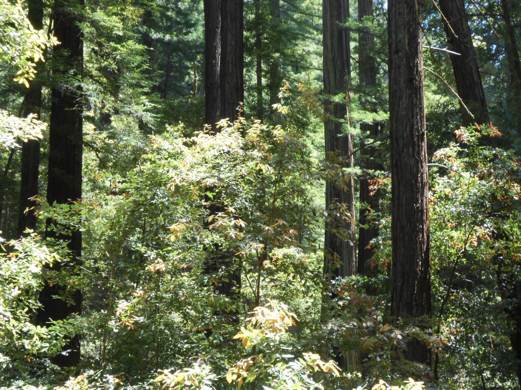 Try this New Spiritual Tool: A Regular Media Free Day