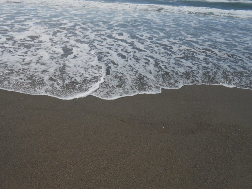 Free to Truly Live Your Best Life