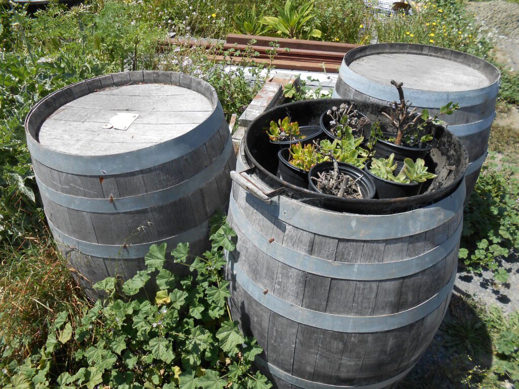 Numbing Yourself to Life and Over-stimulation