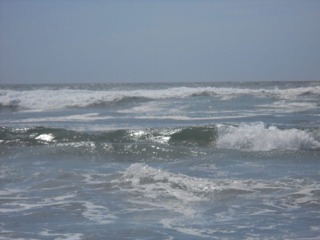 Becoming Your Best Self