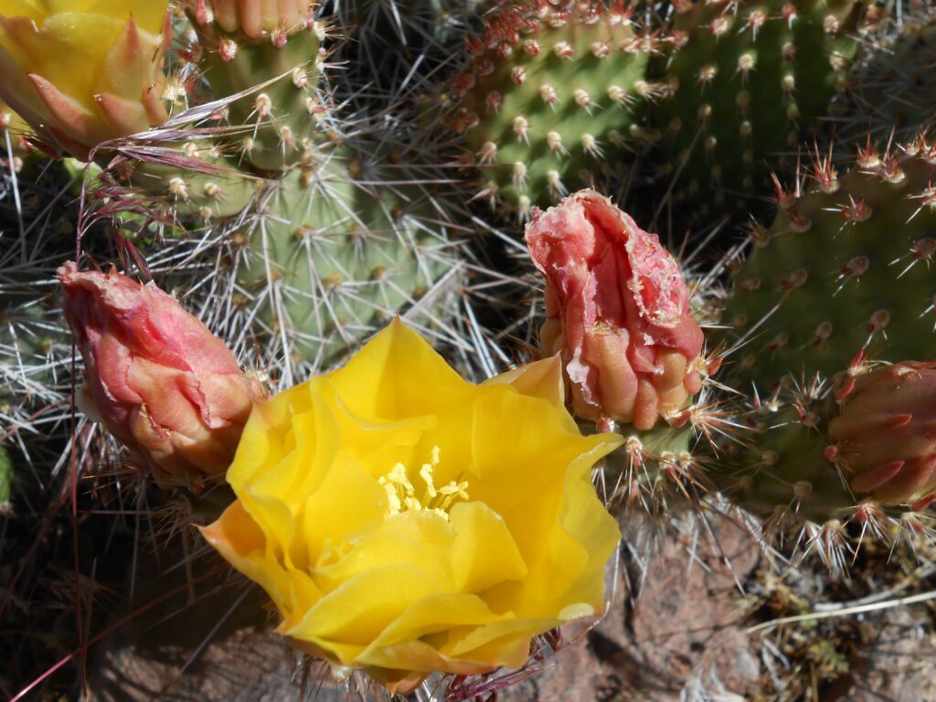 Being Spiritually Ready Versus Prepared