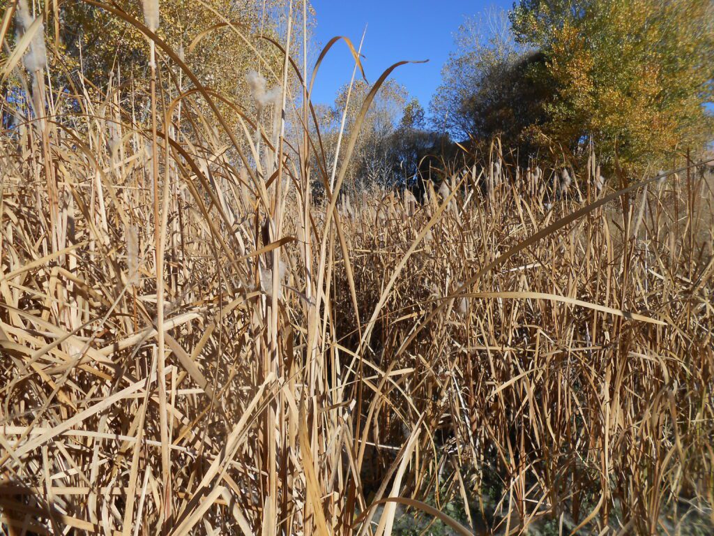 3 Popular Quotes from my Facebook Page