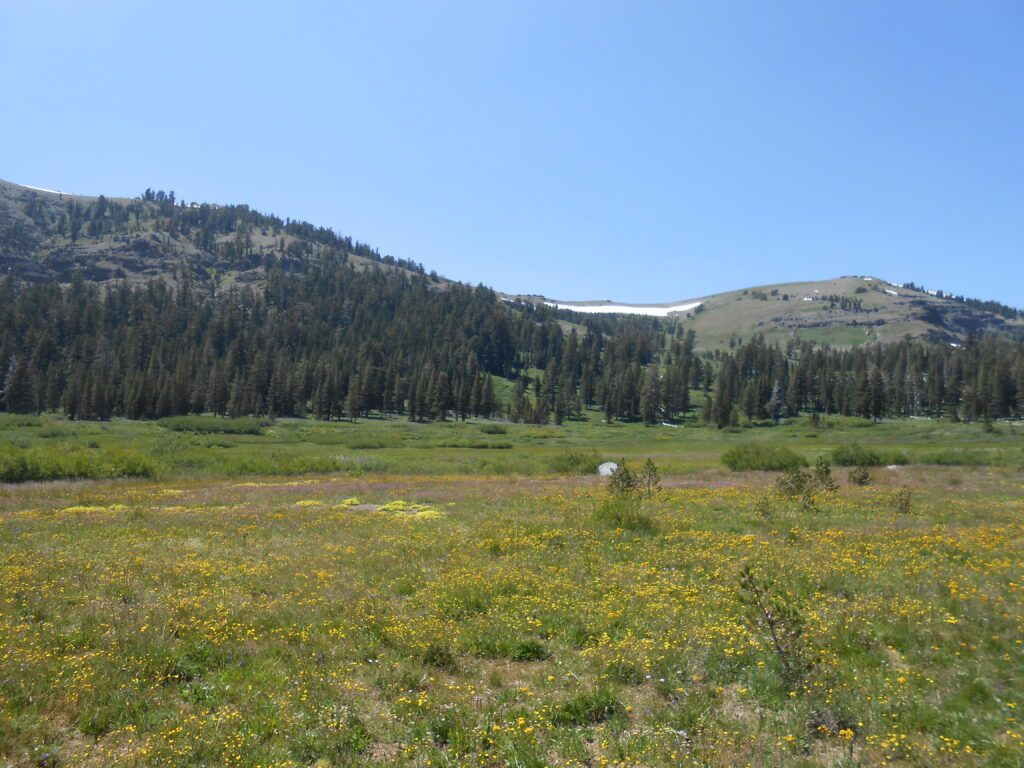 Meditative Monday: Emptiness expansive nature, high alpine