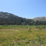 expansive nature, high alpine