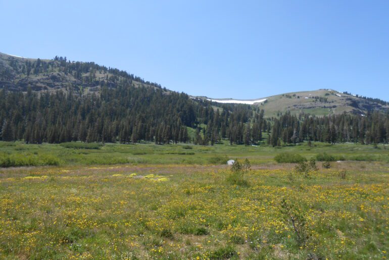 expansive nature, high alpine