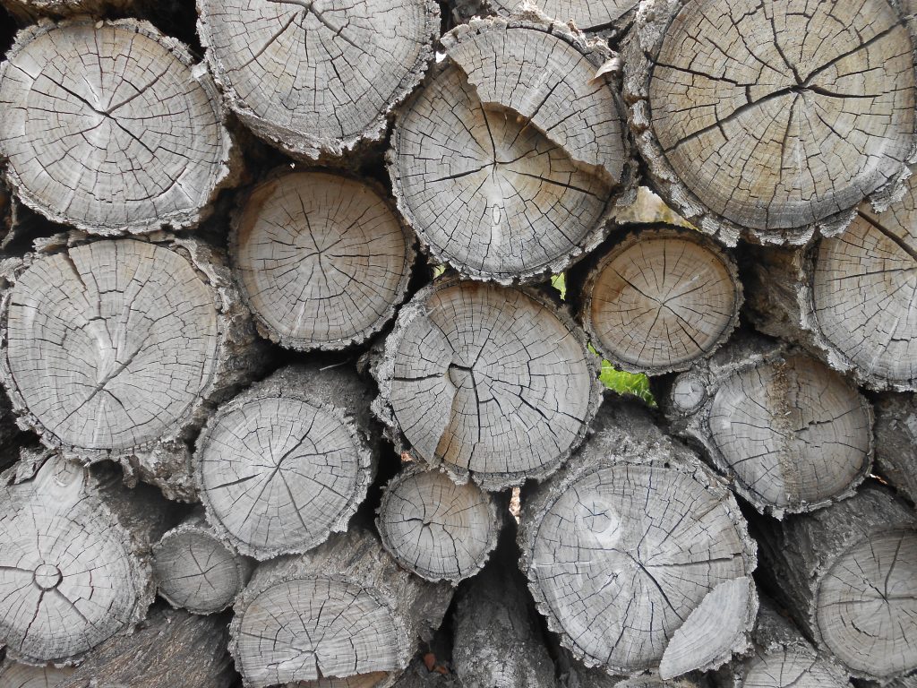 Let Go of the HSP Empath Ego