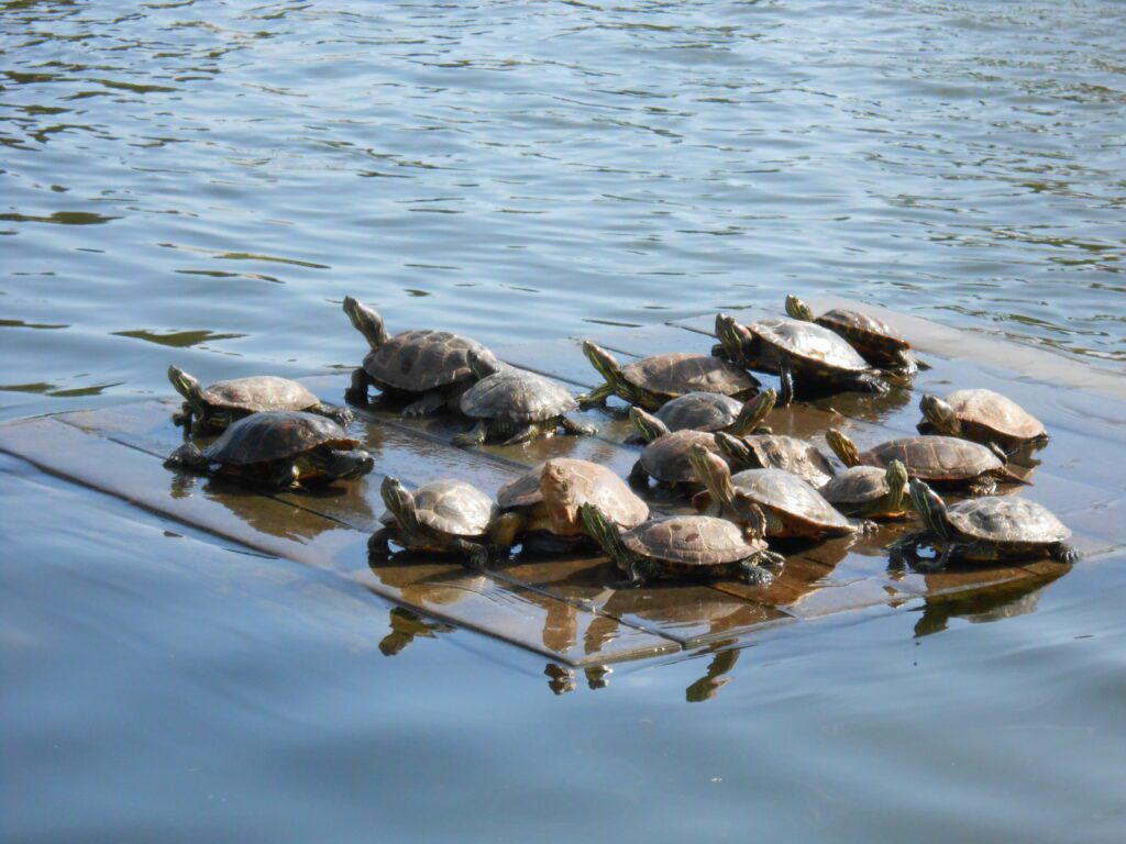 Recording: How to Be Your New “Spiritual” Self