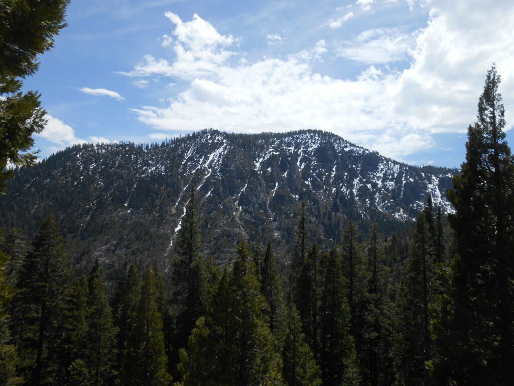 The Desire to be Special to Your Spiritual Teacher