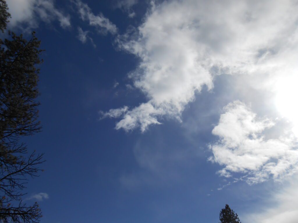 5 Spiritual Posts from 2019 Worth Another Read