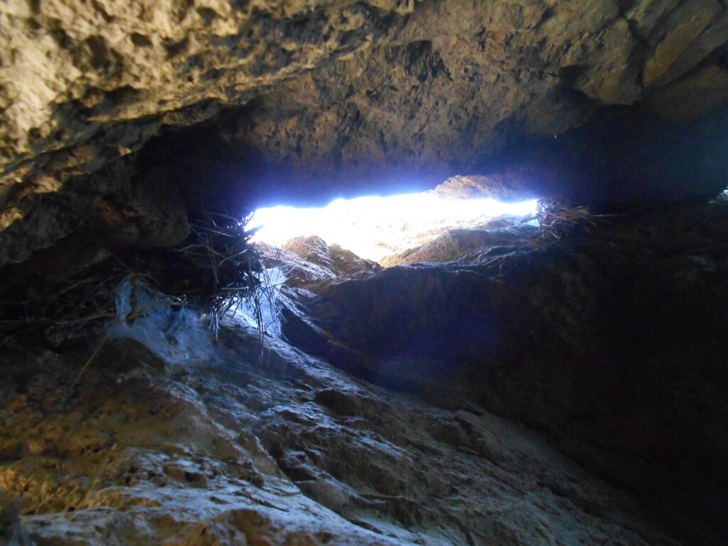 The First Spiritual Teacher for Most People and Going Beyond