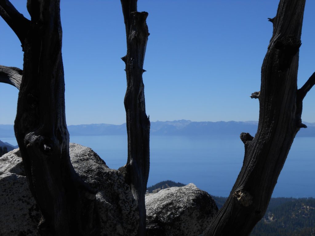 The Dissolution of Ego and Loss of Reference Points