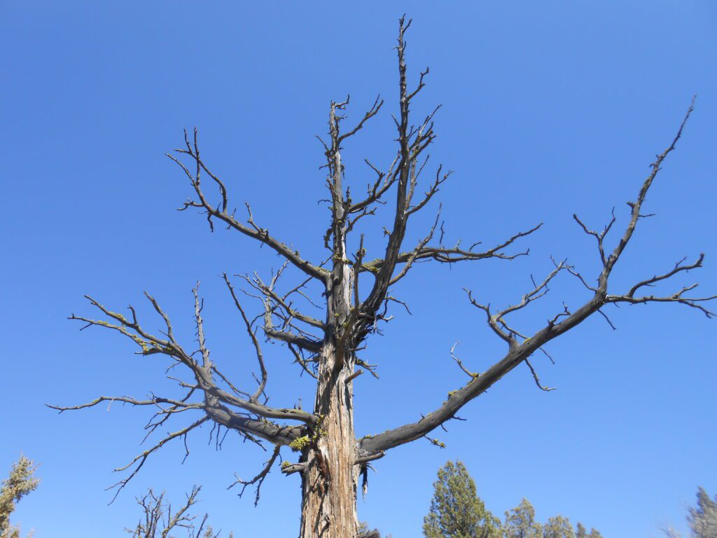 Enlightenment: Give Up the Spiritual Chase