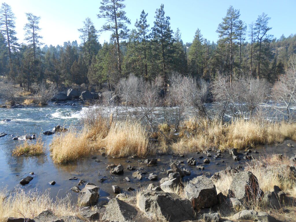 Discovering Unconscious Associations and Feelings