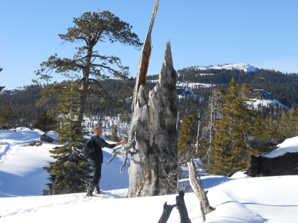 3 Questions to Ask Someone Fighting to Live