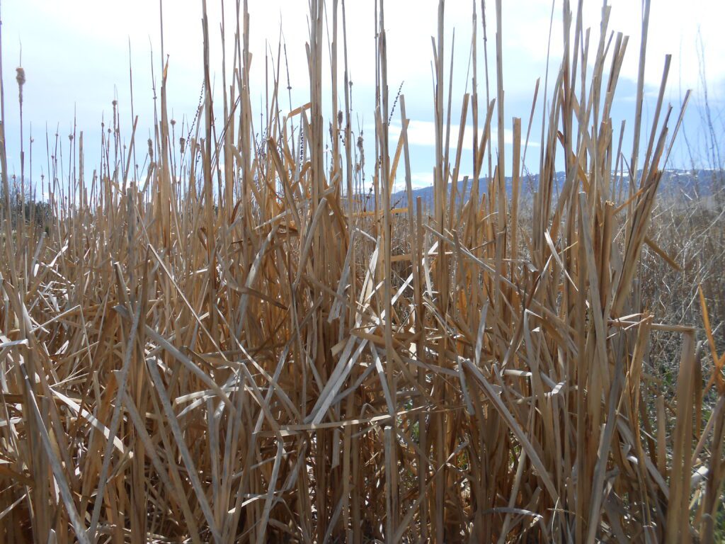 5 More 2019 Posts You May Have Missed