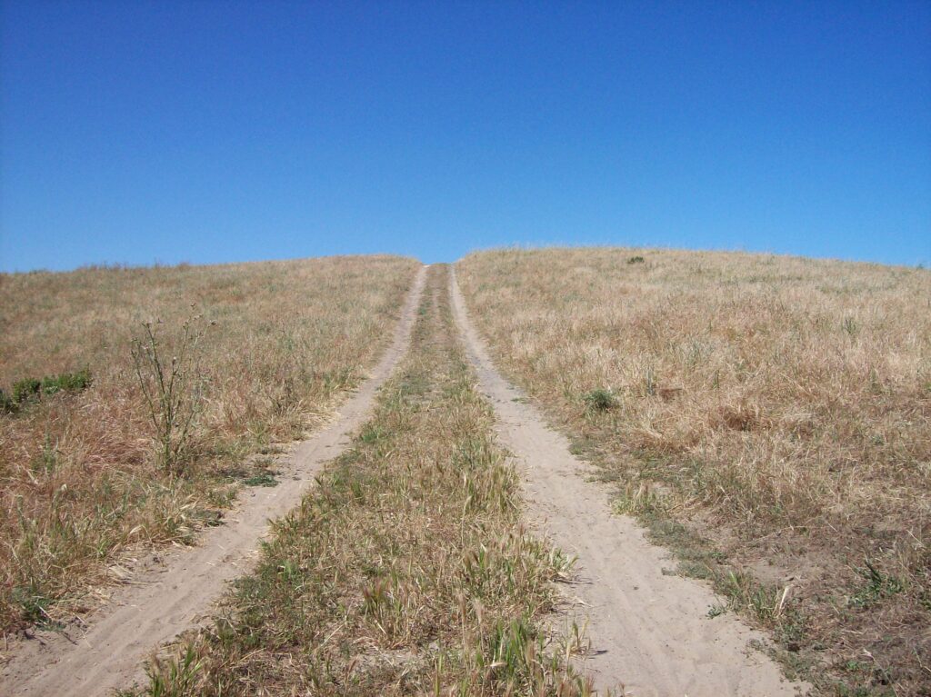 The Fear of the Unknown