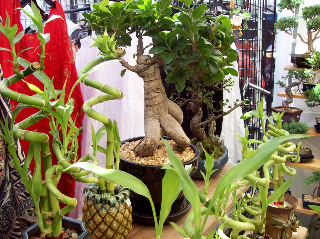 The Poison of Unconscious Hope