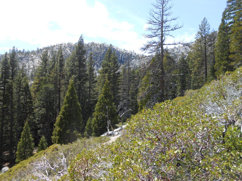 Recording: Spiritual Self-care During Awakening