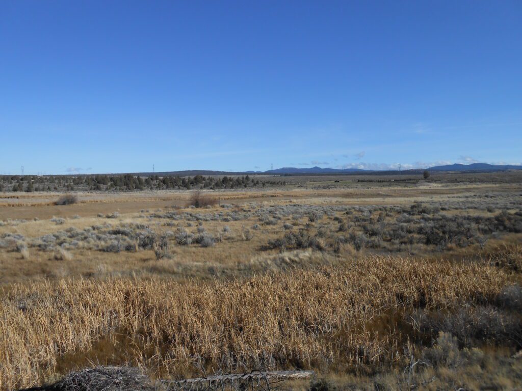 high desert, blue sky