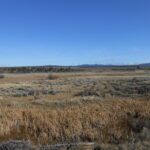 high desert, blue sky