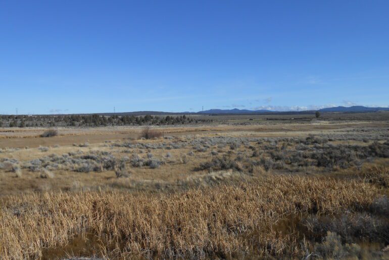 high desert, blue sky